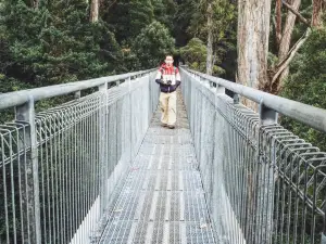 Tahune Adventures Tasmania