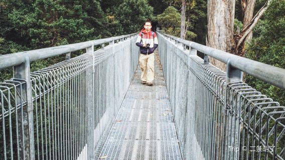 Tahune Adventures Tasmania