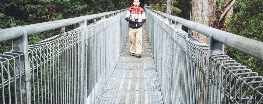 Tahune Adventures Tasmania