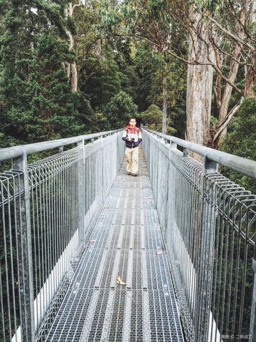 Tahune Adventures Tasmania