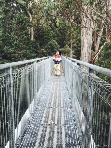 Tahune Adventures Tasmania