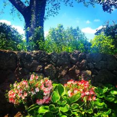 Manor Blanc User Photo