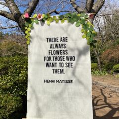 Manor Blanc User Photo