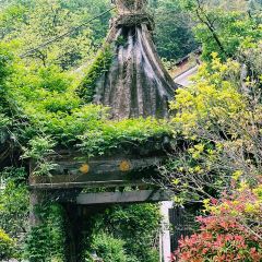 商山名厨 User Photo