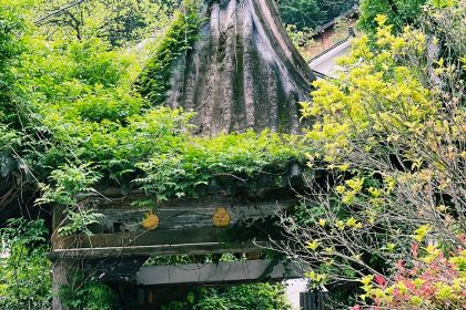 商山名厨