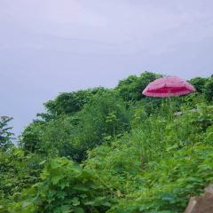 荒野宇宙山顶营地餐厅 User Photo