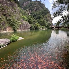 花开麦饼屋 User Photo