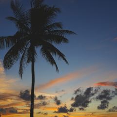 ZING Sunset Bar User Photo