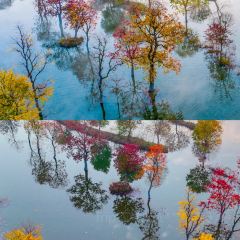 Sage Hall Homestay User Photo