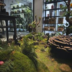 腾越荟·花园私厨 User Photo