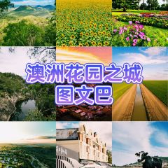 The Finch張用戶圖片