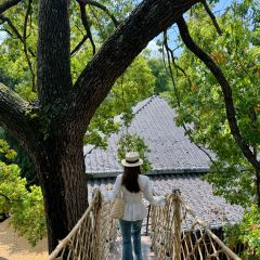 树野融合餐厅 User Photo
