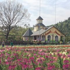 罗浮山天然谷(那里花开店) User Photo