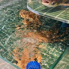 唔哩赞崇明私藏菜(凤阳路店) User Photo