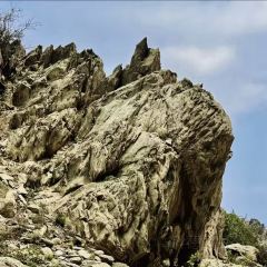 红果果辣糊糊(银川旗舰店) User Photo