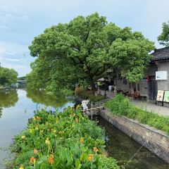 构想几何·咖啡工厂店(沈荡谷仓店) User Photo
