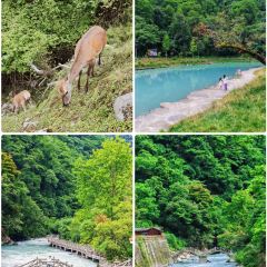梅子山庄·土司宴 User Photo
