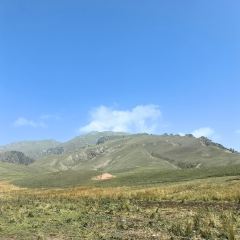 敦煌特色胡羊燜餅張用戶圖片