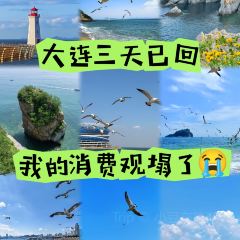 RI YUE SHENG YU JIA CAI User Photo