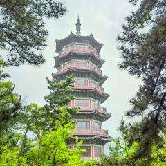 XINGHAIYUGANG User Photo
