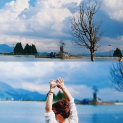 zhen箴尚美·心生态私房菜(玉湖村店) User Photo