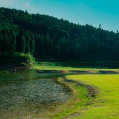 Zhan yi gong shi la zi Chicken (zhan yi) User Photo