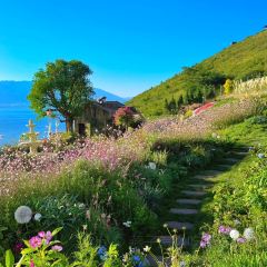 September DaLi User Photo