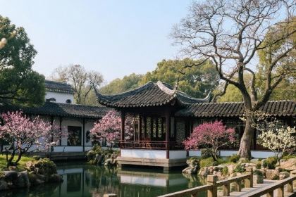 SHIRAISHI'S MIDNIGHT DINER