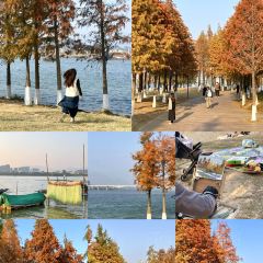 白玉鼎冬瓜盅·清遠雞張用戶圖片