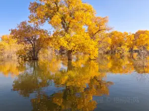西宁伊香苑炕锅肉