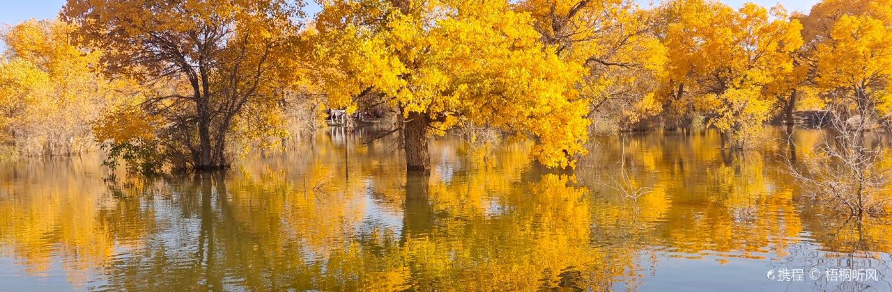 西宁伊香苑炕锅肉