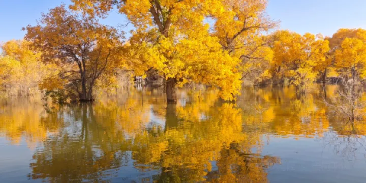 天境氂牛壯骨湯（豪華店）