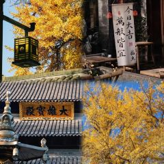 胡四哥特色火盆烧烤(总店) User Photo