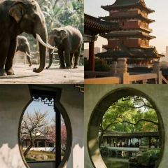 Happy Lamb Hot Pot User Photo