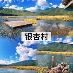 邓氏大薄片 User Photo