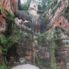 棣爸油炸 User Photo