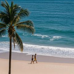 徐福记湛江烤生蚝 User Photo