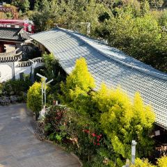 迎曦小院 User Photo