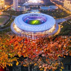 FENG CHINESE RESTAURANT User Photo