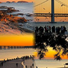 喜鼎海胆水饺(星海湾壹号店) User Photo