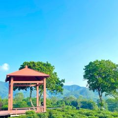 永盛酒樓張用戶圖片