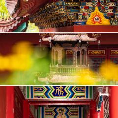 Luojishinianlaodiandingxiangjiangzhi User Photo