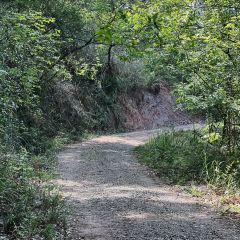 山涧别院 User Photo