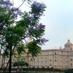 漢堡王（梅嶺觀海店）張用戶圖片