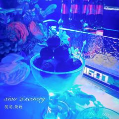 MSN CLUB 여행 사진