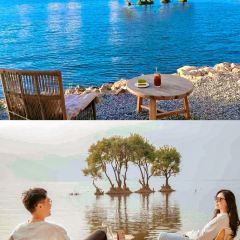 阿凯缇娅·安止樱落海景度假酒店·一间海景餐厅 User Photo