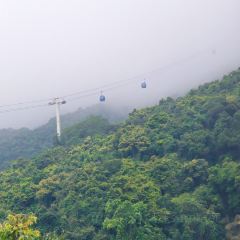 蜜悦·秘野仙踪半山森林餐厅 User Photo