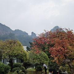 门溪山居·镜岭味道 User Photo