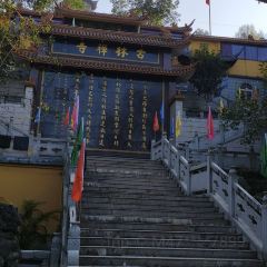Donghuadouhua User Photo