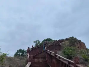 long qi gu